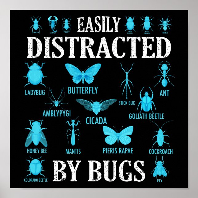 Funny Bug Lover Bugs Easily Distracted By Bugs Poster (Front)
