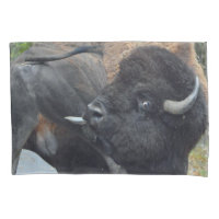 Funny Bull Bison Licking His Testicles