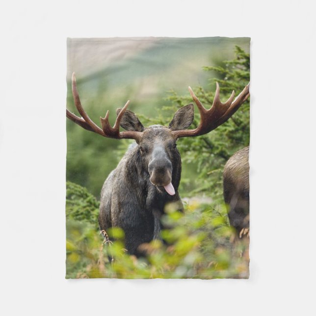 Funny Bull Moose Fleece Blanket (Front)