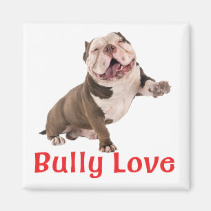 Funny Bulldog American Bully Love Puppy Dog Magnet