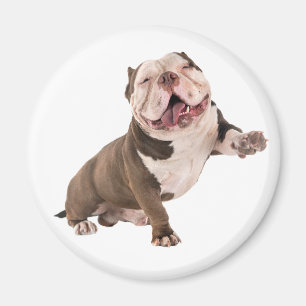 Funny Bulldog American Bully Love Puppy Dog Magnet