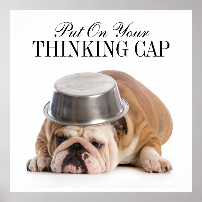 Funny Bulldog - Poster - srf (Front)