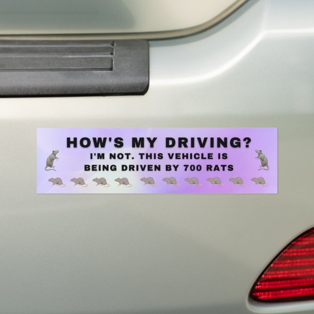 Funny Bumper Sticker - How's My Driving Rats (On Car)
