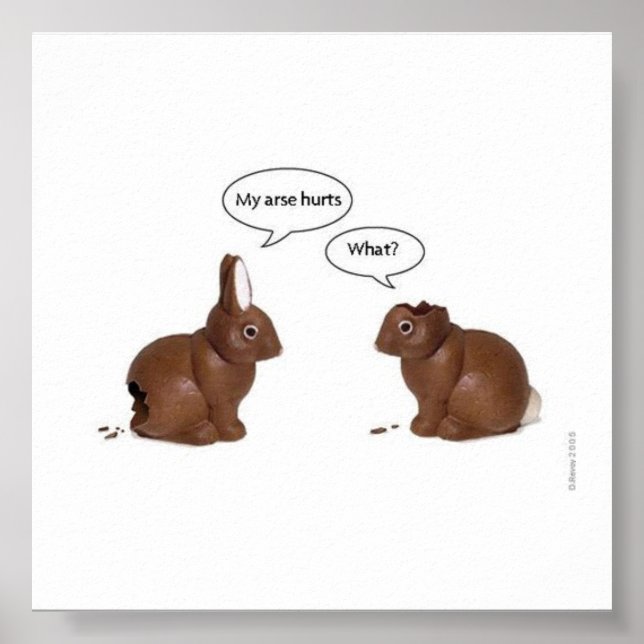 funny bunnies poster (Front)