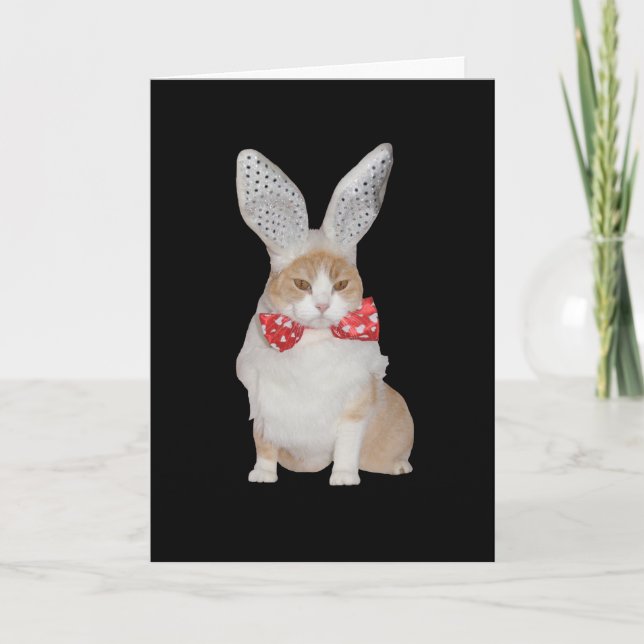 Funny Bunny Cat Valentine Holiday Card (Front)