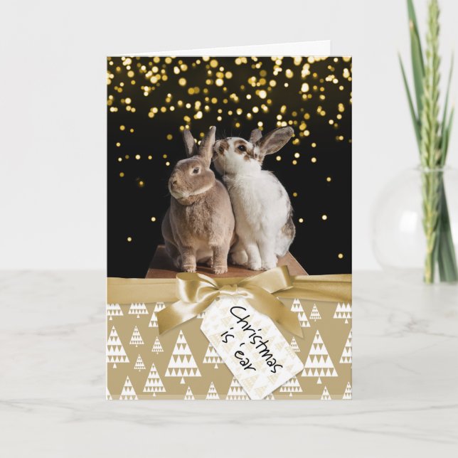 Funny Bunny Christmas Card (Front)