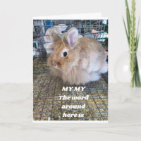 **FUNNY BUNNY** SAY HAPPY BIRTHDAY