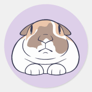 Funny Bunny Sticker! Classic Round Sticker