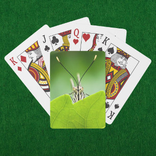 Funny Butterfly Peeks Over Leaf Playing Cards