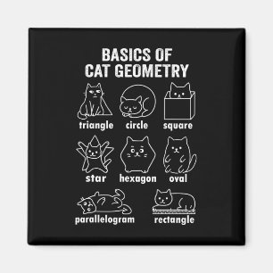 Funny Bysics Of Cat Geometry Byck To School Math T Magnet