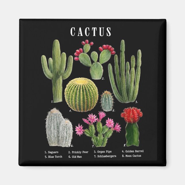 Funny cactus species chart  magnet (Front)