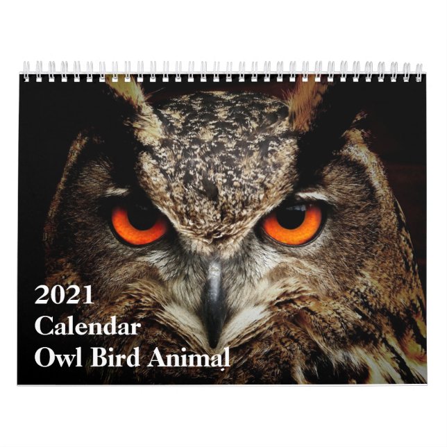 Funny Calendar: Owl Bird Animal Calendar (Cover)