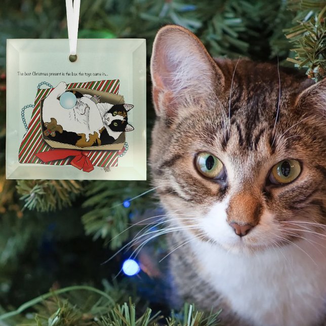 Funny Calico Cat Christmas Gift Box Glass Tree Decoration (Creator Uploaded)
