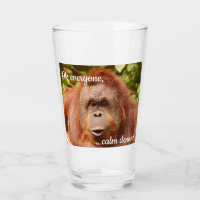 Funny calm orangutan
