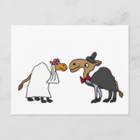 Funny Camel Bride and Groom Wedding Cartoon