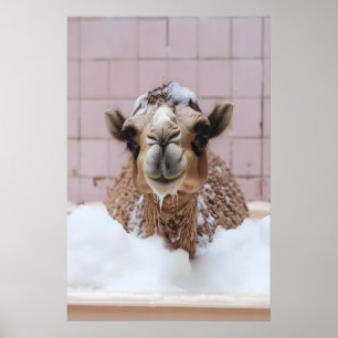 Funny Camel Bubble Bath Art, Whimsical Animal Poster