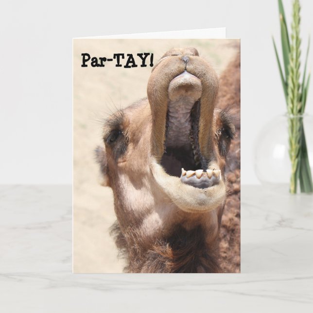 Funny Camel Card, PAR-TAY like its your birthday! Card (Front)
