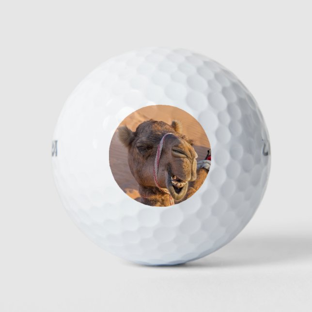 Funny Camel Classic Golf Balls (Front)
