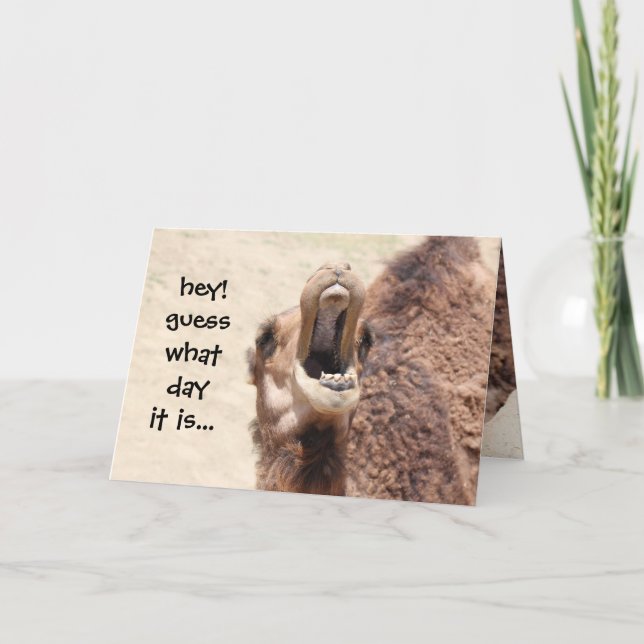 Funny Camel Hump Day Birthday Card (Front)