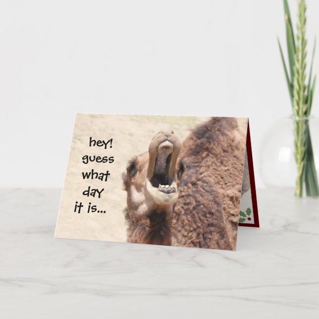 Funny Camel Hump Day Christmas Card (2) (Front)