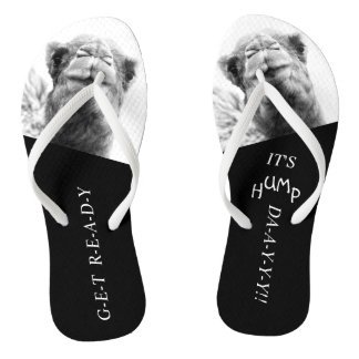 Funny Camel Hump Day Photo Flip Flops