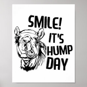 Funny Camel Smile! It's Hump Day Funny Hump Day Poster