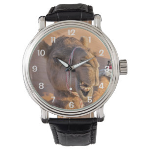 Funny Camel Watch