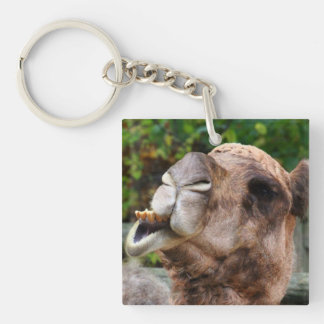 Funny Camel Wildlife Animal Photo Key Ring