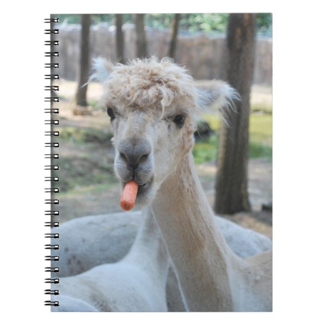 Funny camel with a carrot notebook (Front)