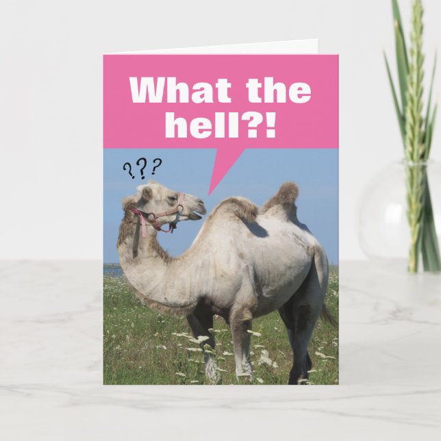 Funny Camel With Droopy Humps Birthday Card (Front)