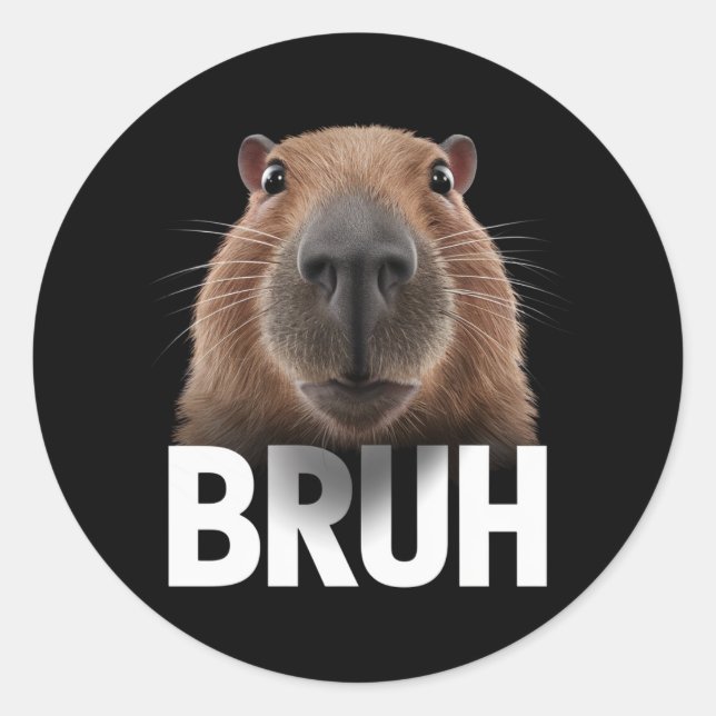 Funny Capybara Bruh  Classic Round Sticker (Front)