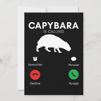 Funny Capybara Humourous Capybaras Invitation