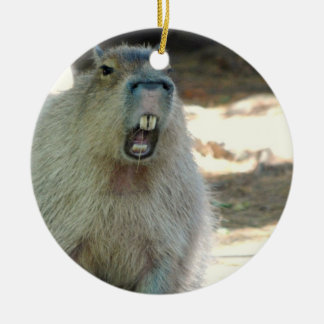 Funny Capybara Ornament