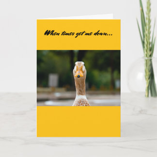 Funny Card- Original photography by Tony Cardenas Card
