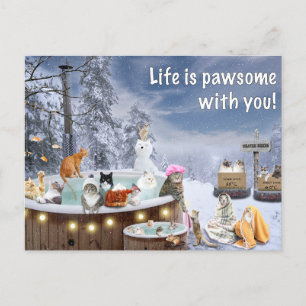 Funny Card Showing Cats Relaxing In Hot Tub