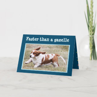 Funny Card with "The Birthday Basset"