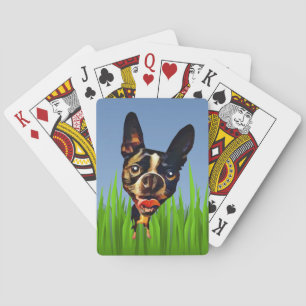 Funny Cartoon Boston Terrier Deck of Cards
