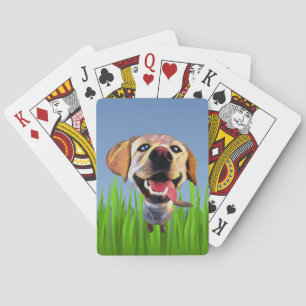 Funny Cartoon Labrador Retriever Card Deck