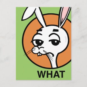 FUNNY CARTOON STYLE RABBIT POSTCARD