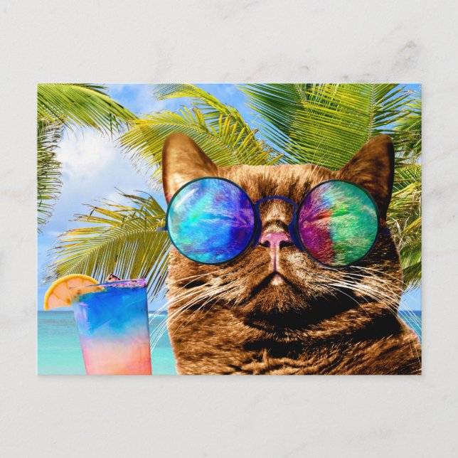 Funny Cat 675 Beach Holiday Postcard (Front)
