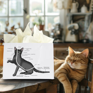 Funny Cat Anatomy Diagram Humour Nerdy Large Gift Bag