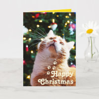 Funny Cat and Green Tree&Happy Christmas Unique  C
