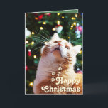 Funny Cat and Green Tree&Happy Christmas Unique   Card<br><div class="desc">It's the Funny Cat and Green Tree&Happy Christmas Unique Card. The cat in front of the green tree is funny and cute. I hope that both the person who writes the card and the recipient will smile happily. It's a meaningful gift for your loved one. Give love and Be one...</div>