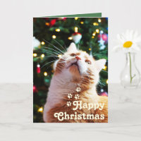 Funny Cat and Green Tree&Happy Christmas Unique  