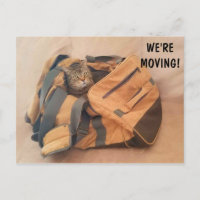 Funny Cat And Suitcase Moving Postcard