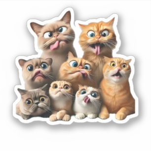 funny cat art print