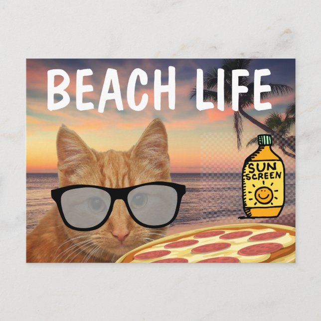 FUNNY CAT BEACH PIZZA POSTCARD (Front)