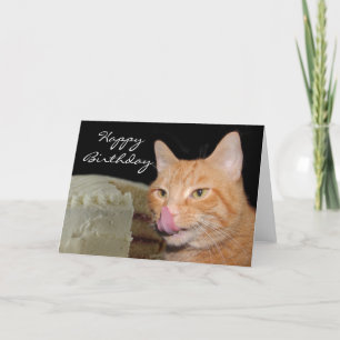 Funny cat Birthday Card