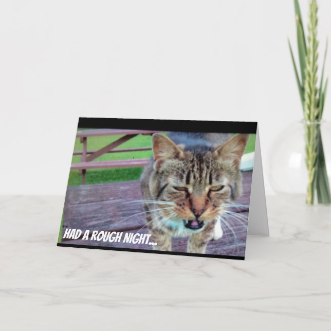 Funny Cat Birthday Card (Front)