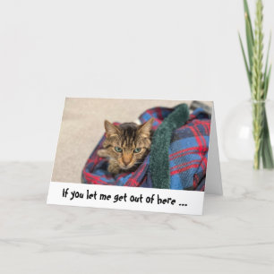 Funny Cat Birthday Card